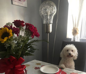 Meet your Posher, Sindy